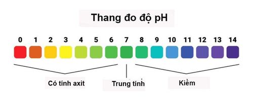 
pH cân bằng tại âm đạo có giá trị 3,8 - 4,5
