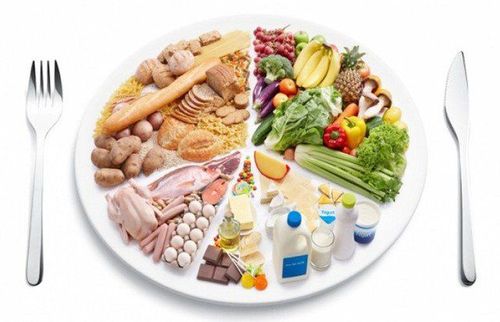 Nutrition for overweight and obese adults