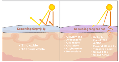 Cơ chế tác dụng của kem chống nắng hóa học