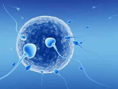 What is in vitro fertilization (IVF)? In what cases is it indicated?