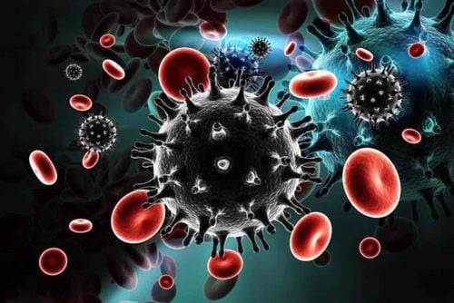 
Virus HIV đang nhân lên và phá hủy hệ thống miễn dịch của cơ thể
