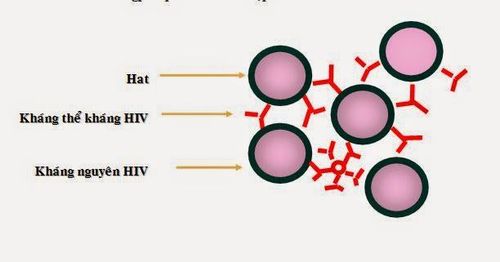 
Xét nghiệm tìm kháng nguyên của virus
