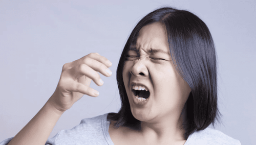 Frequently asked questions about sneezing