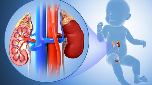 Acute glomerulonephritis in children: What you need to know