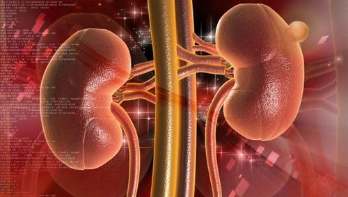 What is acute glomerulonephritis? Why do you have acute glomerulonephritis?