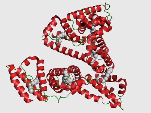 
Hình ảnh mô phỏng phân tử protein
