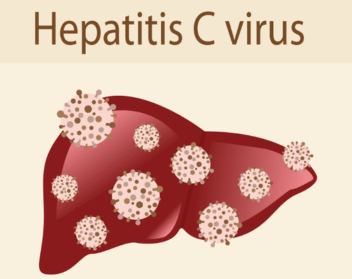 How long can the hepatitis C virus live outside the body?