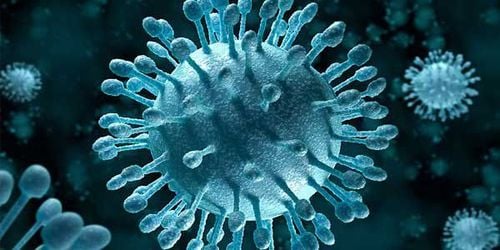 Hepatitis C virus and the possibility of sexual transmission