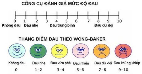 
Thang đánh giá mức độ chịu đau
