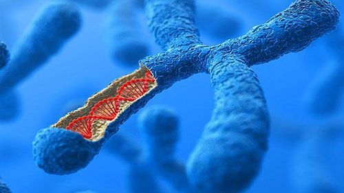 Extracellular DNA screening test