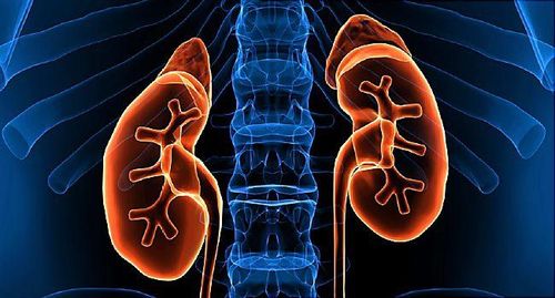 Dangerous complications of nephrotic syndrome