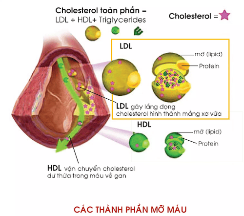 
Xét nghiệm các thành phần mỡ máu giúp chẩn đoán tình trạng rối loạn mỡ máu
