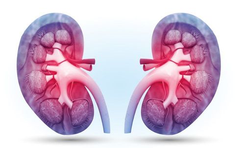 Information for patients with extracorporeal lithotripsy