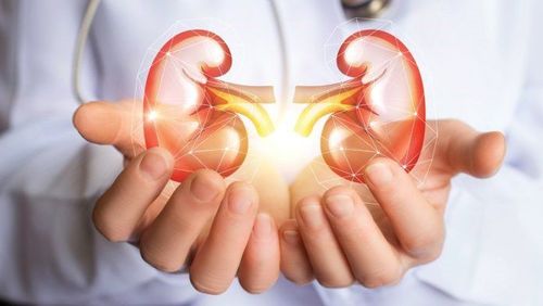 Treatment of chronic kidney failure: What you need to know