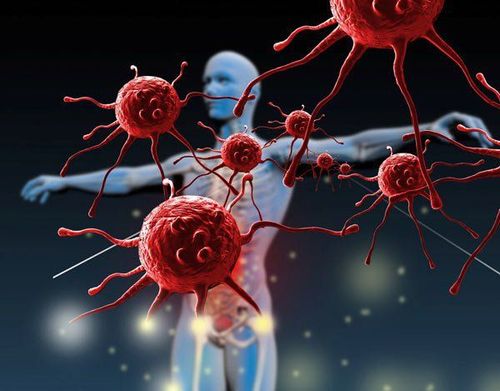The link between the immune system and cancer