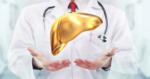 What does liver cancer screening include?