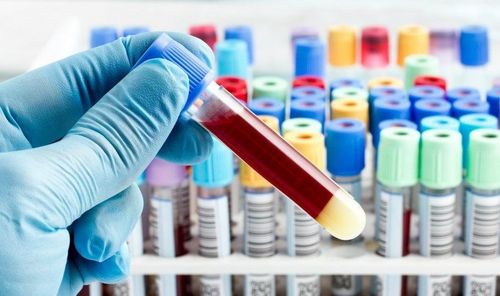 What is the meaning of blood coagulation test?