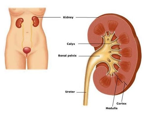 Does the treatment of hydronephrosis in children require surgery?