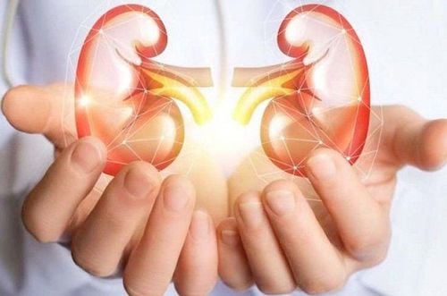 Differences in chronic kidney disease in men and women