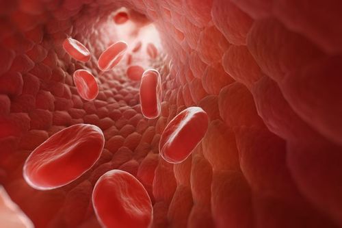 Learn about polycythemia vera