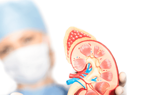 Alternative treatment for end-stage chronic kidney disease