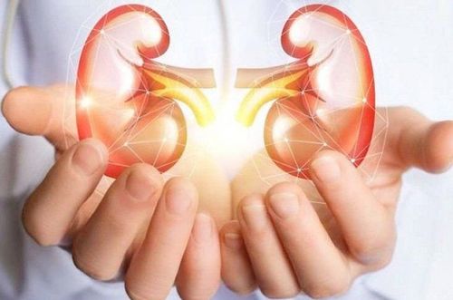 Nutrition of patients with end-stage chronic renal failure on dialysis