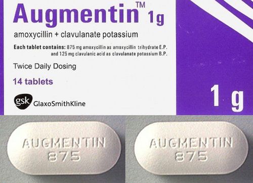 
Thận trọng khi dùng thuốc Augmentin
