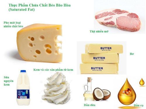 Which foods are high in saturated fat?