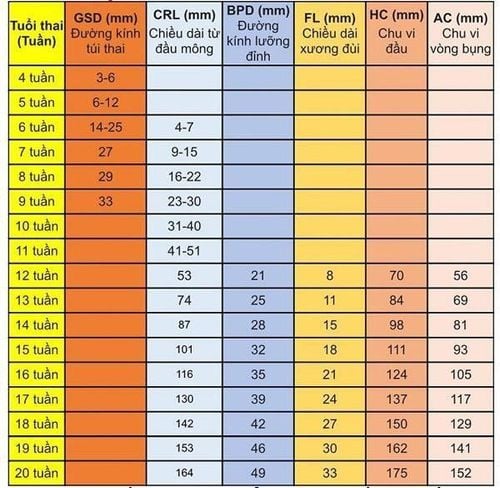 Indicators in fetal ultrasound results