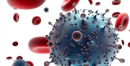 
AIDS được hình thành do nhiễm HIV trong thời gian dài
