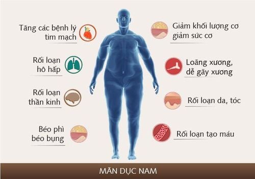 
Suy giảm testosterone làm giảm khả năng sinh sản và tăng nguy cơ ung thư tuyến tiền liệt
