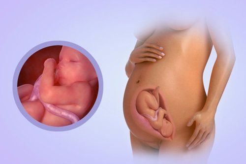 The change of pregnant women at 32 weeks