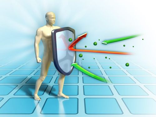 Mechanism of action of the immune system