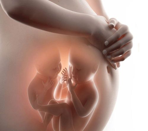 Pregnant women with twins, 1 fetus stops developing, is it dangerous?