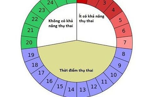 
Tính ngày rụng trứng chính xác để tránh thai
