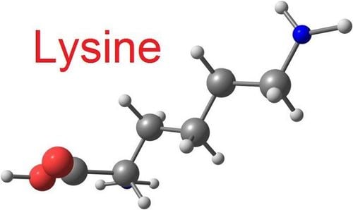 What is Lysine? Benefits and side effects