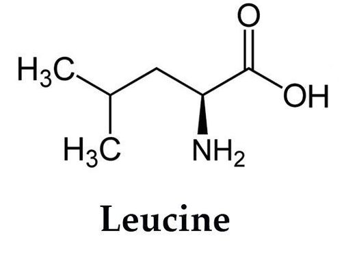 
Leucine là một trong những axit amin được tìm thấy trong protein
