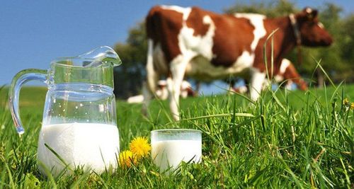 Signs of an allergy to cow's milk protein