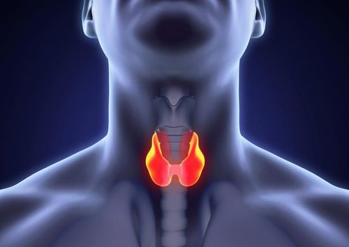 Hormones secreted by the thyroid gland