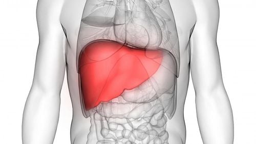 Quiz: Do you really understand your liver?