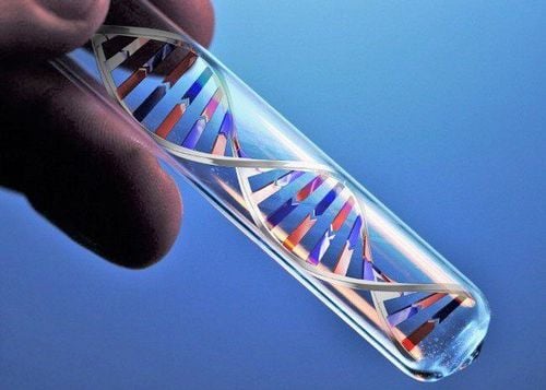Tìm hiểu đầy đủ thông tin về xét nghiệm ADN xác định huyết thống