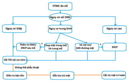 
Lựa chọn thăm dò chẩn đoán sỏi ống mật chủ
