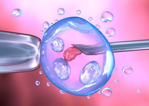 Bị ung thư buồng trứng có thể lấy trứng để thụ tinh ống nghiệm không?