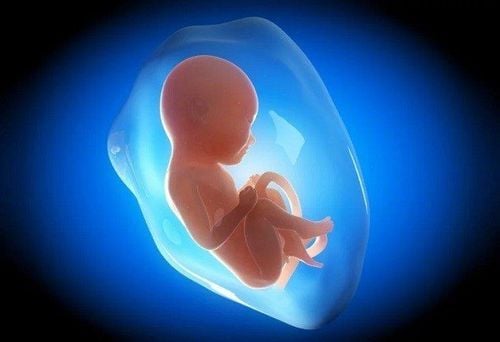 The journey of 9 months and 10 days in the womb of the fetus