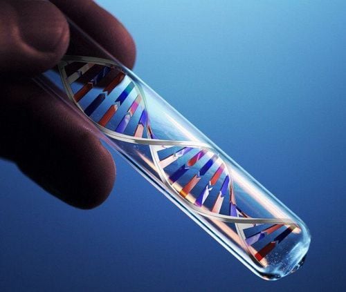Có thể xét nghiệm ADN huyết thống bằng những loại mẫu nào?