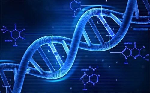 Kết quả của các xét nghiệm di truyền có ý nghĩa gì?