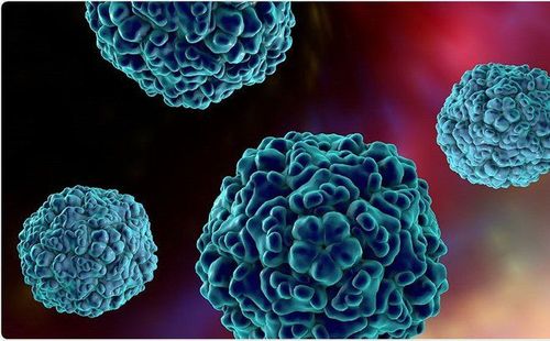 
Virus enterovirus 71 gây bệnh tay chân miệng
