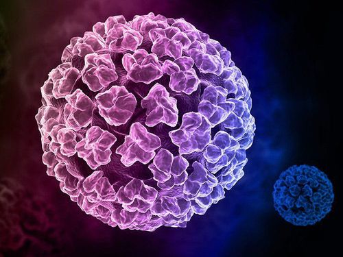 
HPV có thể lây truyền dọc từ mẹ sang con trong lúc sinh
