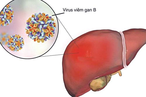 What is hepatitis B exposure?