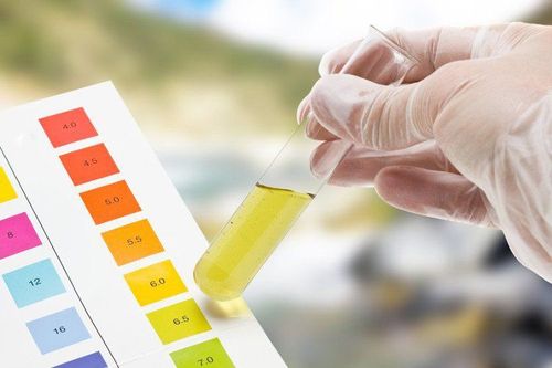 Measure urine and blood amylase activity